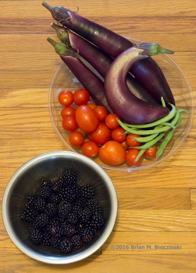 eggplant, tomatoes, green beans, and blackberries